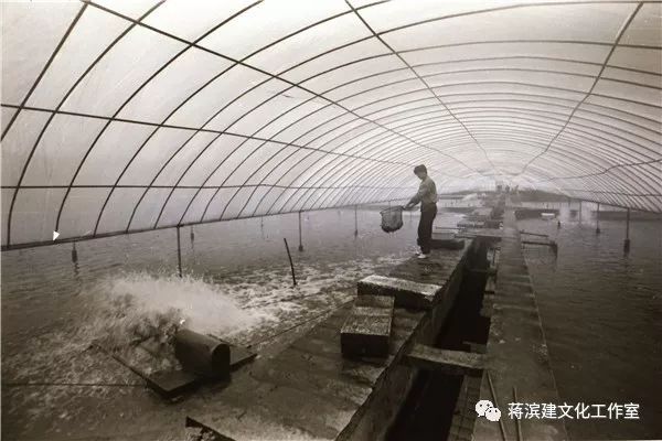 90后都没有见过的东西有哪些,90后没见过的新事物