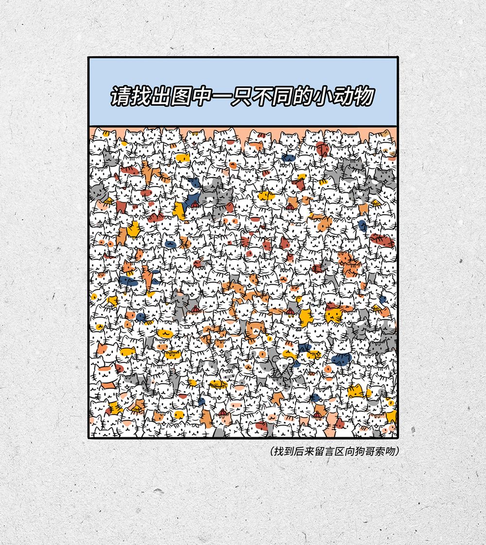 程序员怎么那么可爱呢,程序员太可爱了