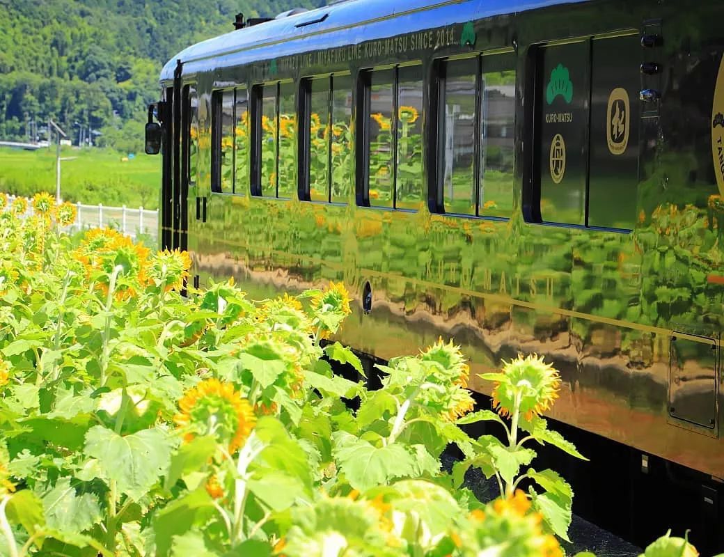 日本10条最好看电车线路,日本特急电车