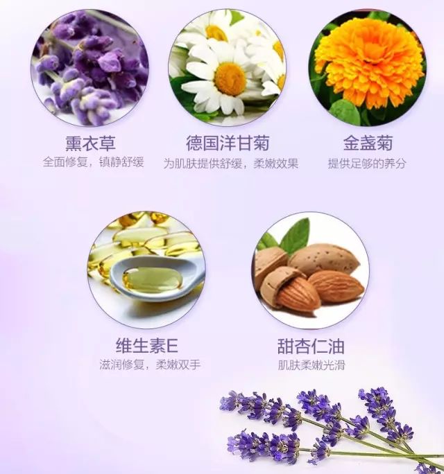 德国小甘菊纪念礼盒,herbacin德国小甘菊礼盒