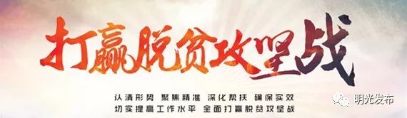 脆甜现摘青枣附近地方 (明光三界金秋摘枣好去处)