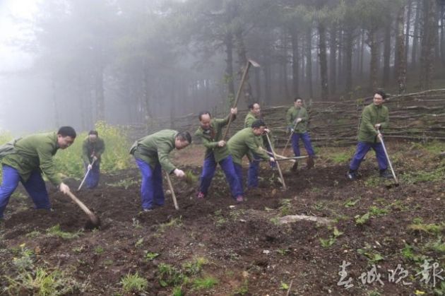专访保山市委副书记、市长杨军以杨善洲精神推动保山高质量跨越发展