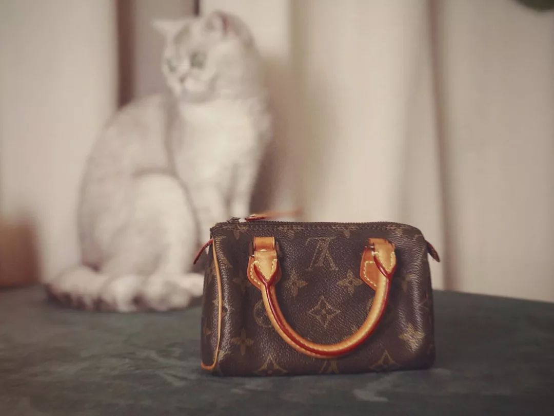 lv新花和老花的区别图,经典老花lv入门