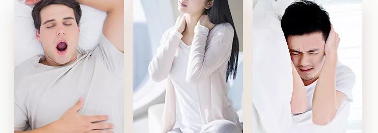 这个乳胶枕太强了！止鼾、防螨虫，全家适用的睡眠伴侣