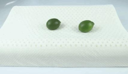 这个乳胶枕太强了！止鼾、防螨虫，全家适用的睡眠伴侣