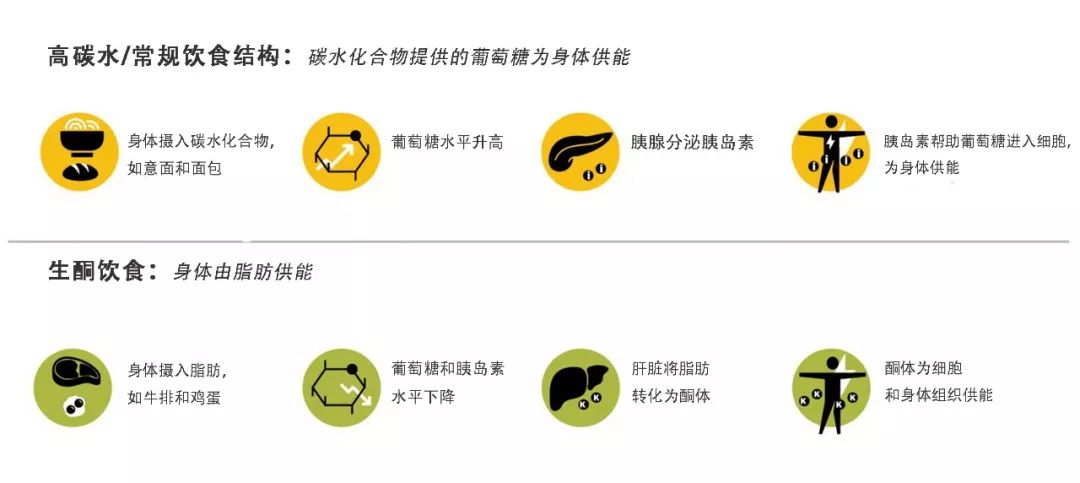 生酮饮食发源,生酮饮食热门