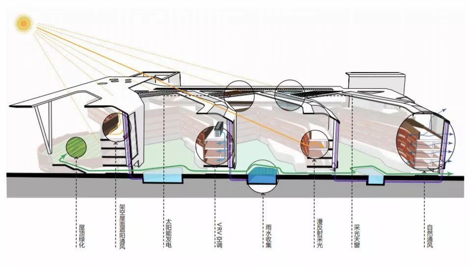 泰达实验学校东校区,泰达实验学校片区