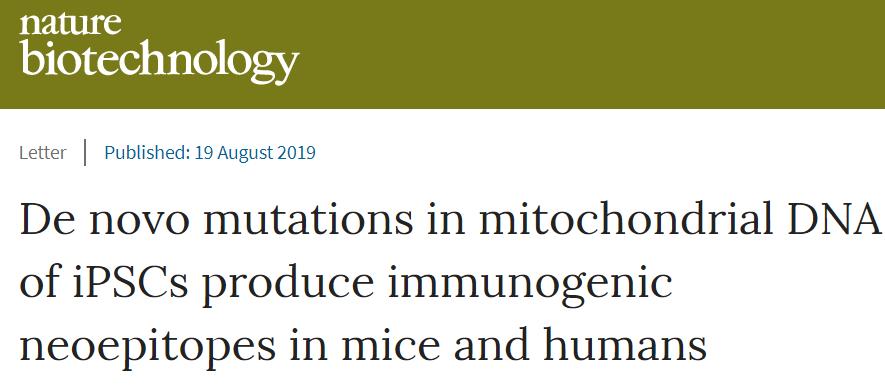 有关干细胞的前沿科技,干细胞再生牙齿最新研究进展结果