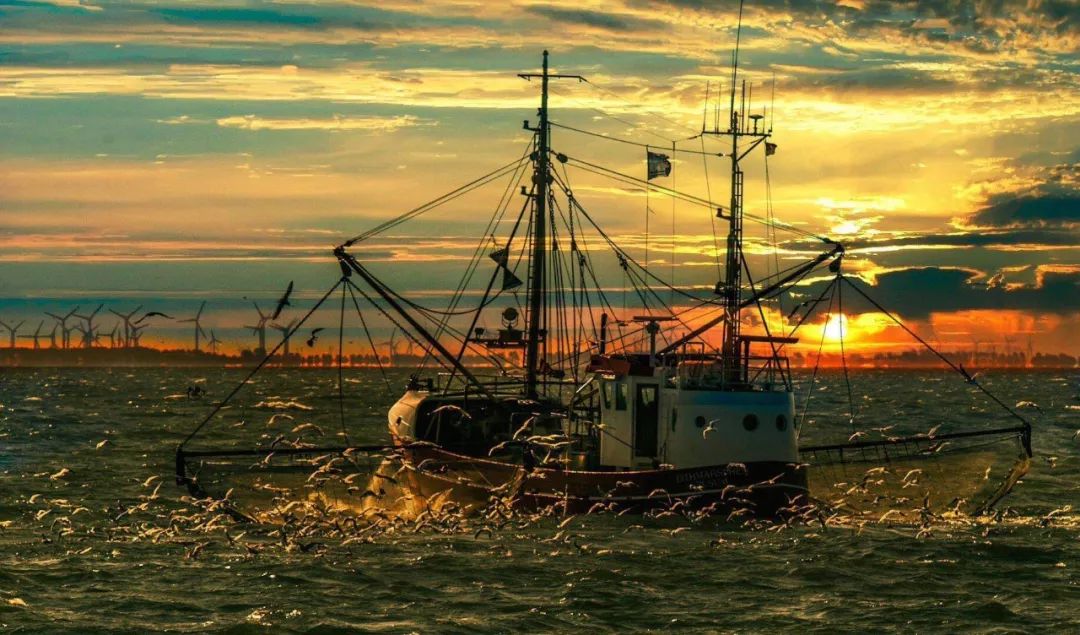 船员劳务合同与船员劳动合同,船员劳务派遣合同范本