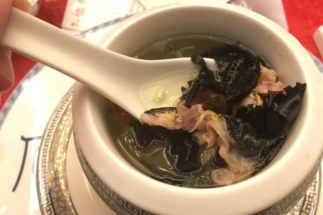 美食推荐新菜上新,四季新京菜推荐菜