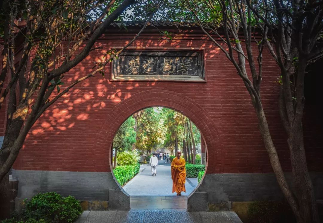 刷屏!一份考卷难倒了洛阳人,全答对的人没几个…