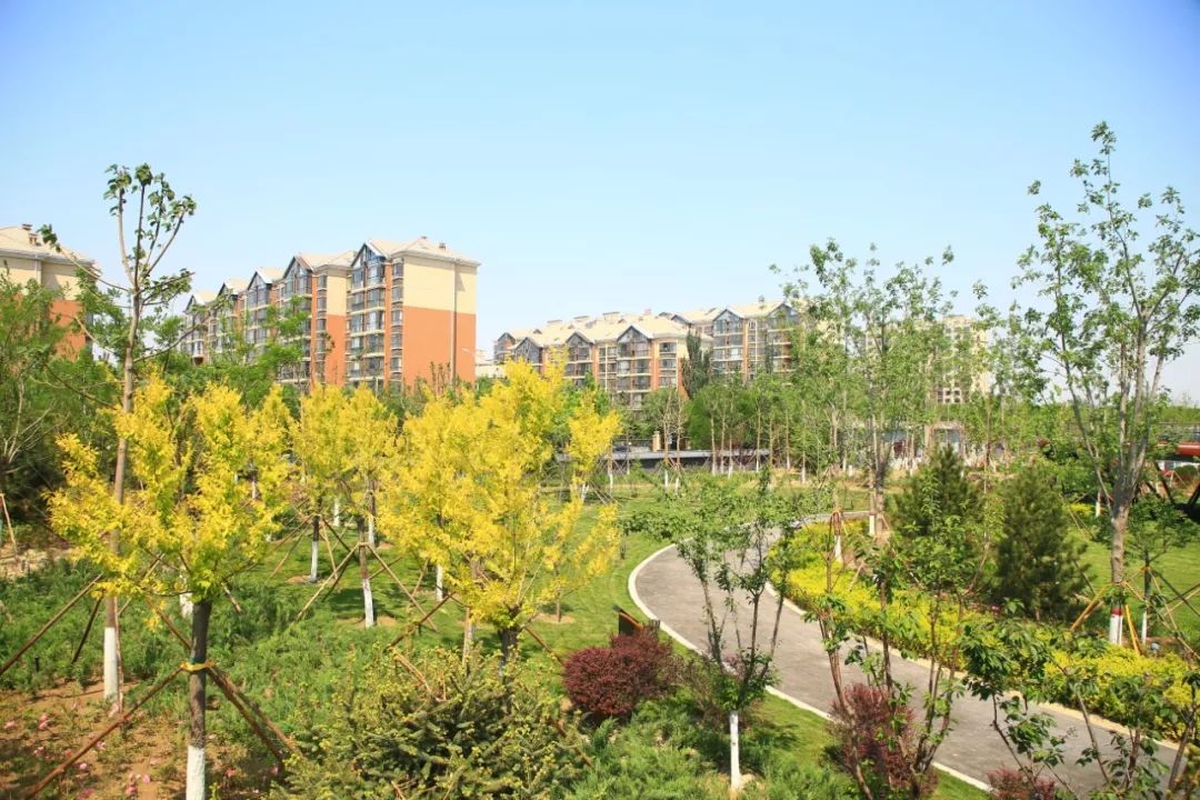 忍你很久了得寸进尺,忍你很久了原视频