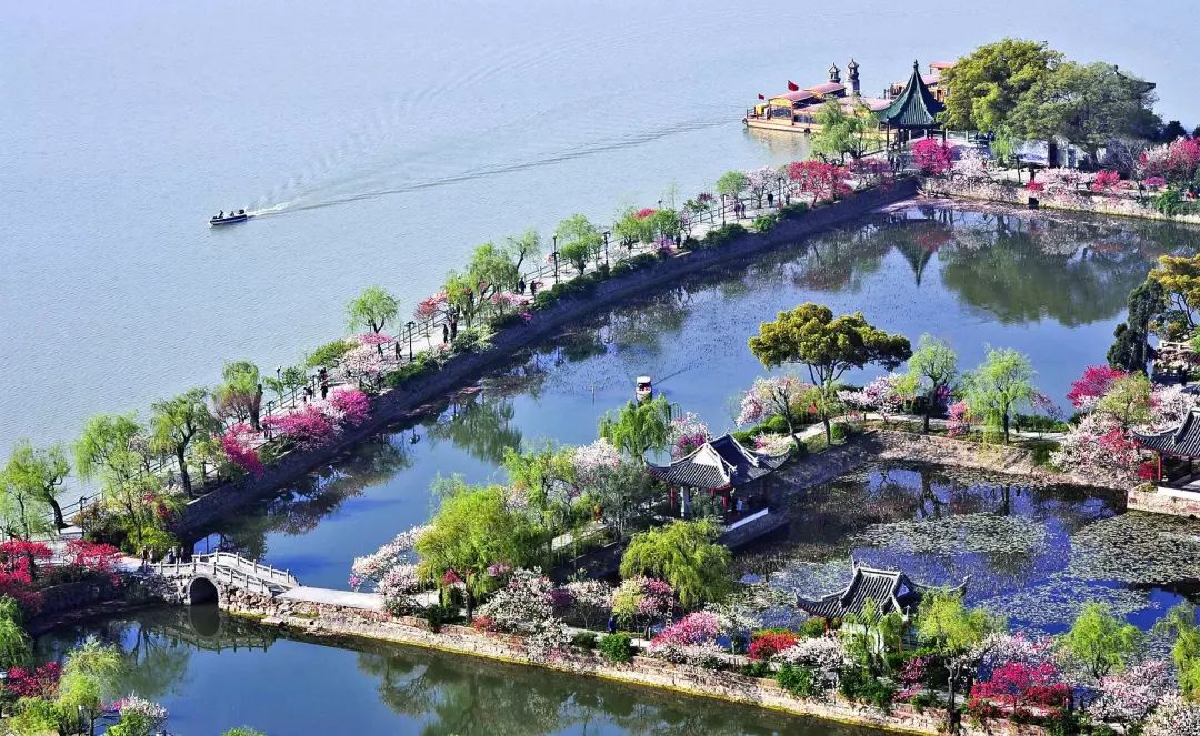 世界哪有迪士尼乐园,亚洲几个迪士尼乐园