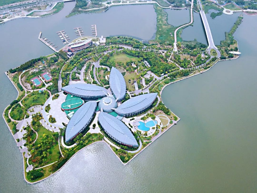 临港新片区2023千亿投资最新报道,上海临港利好消息