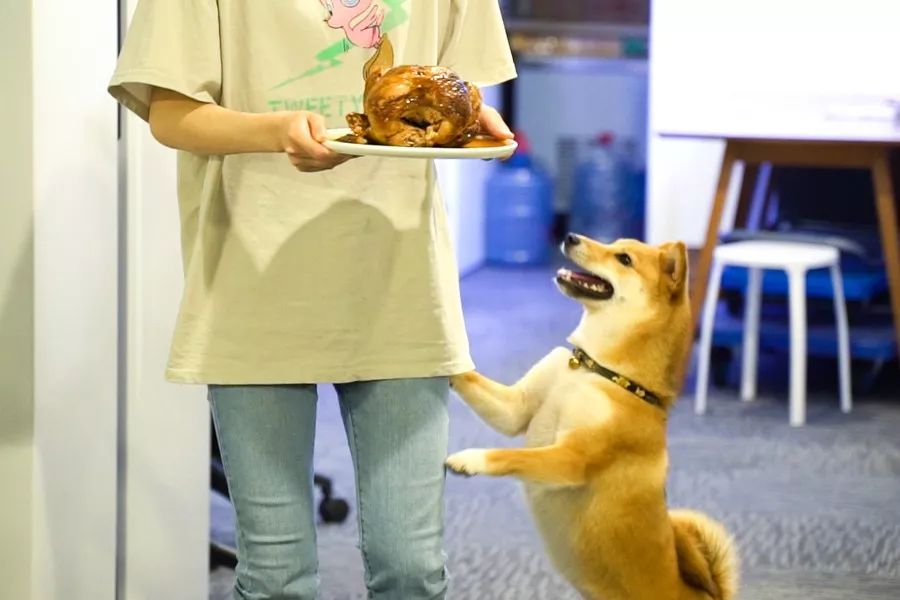 costco购买大盘点,costco哪些值得买