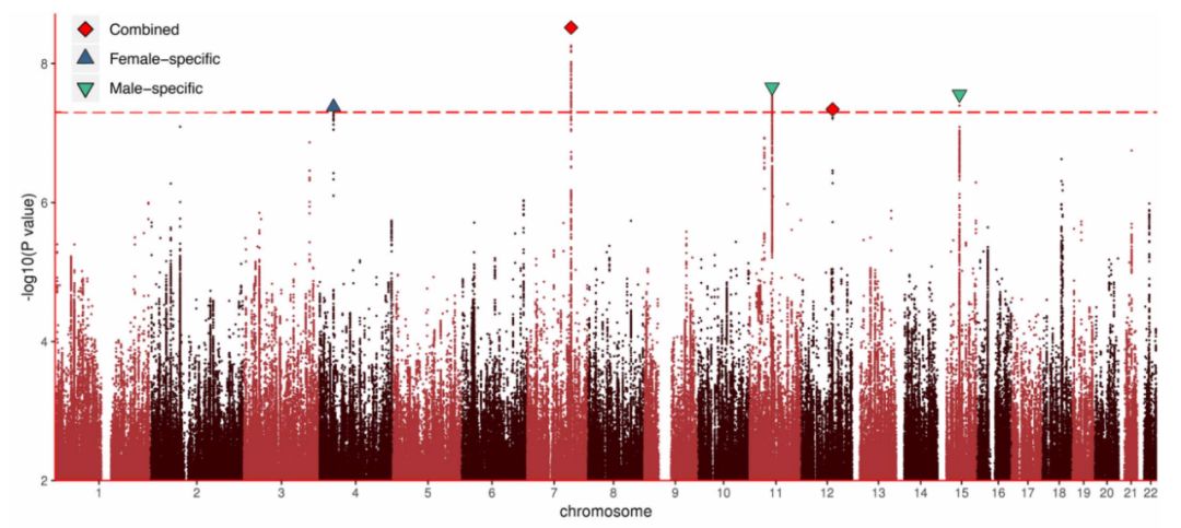 《科学》:真有「同性恋基因」吗?20余所顶级研究机构发起、迄今最大规模的研究发现,基因根本就不能预测同性*行为性**丨科学大发现