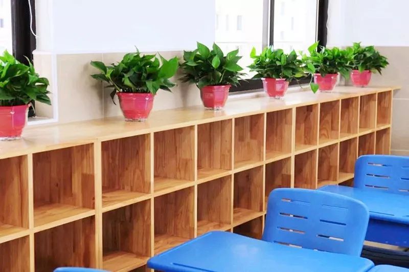 北仑国际学校开学,北仑新增九年制学校