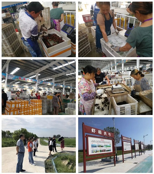 中国小龙虾交易中心,中国虾仓监利小龙虾交易中心