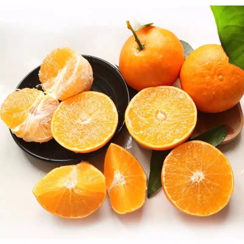 用手机就可以随时赚钱,手机就能赚钱