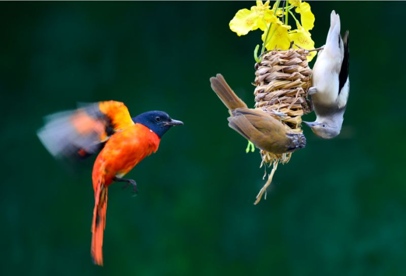 平湖免费景点推荐一下,平湖周边最近的动物园