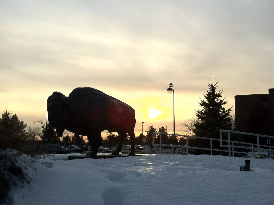 为什么感觉留学好难,2022年去韩国留学越来越难