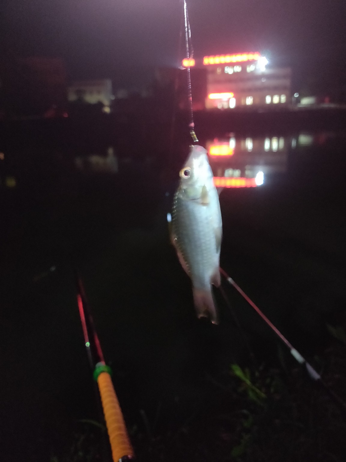 水情不稳定如何钓鱼,水情不明钓鱼必须每次都调漂吗