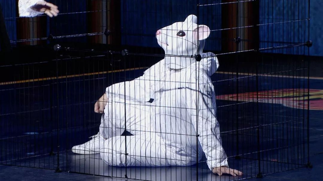 生姜可以治肿瘤养生堂节目,养生堂肿瘤真相大揭秘