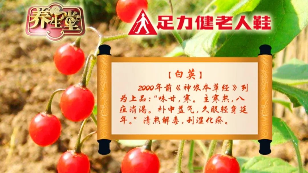 生姜可以治肿瘤养生堂节目,养生堂肿瘤真相大揭秘