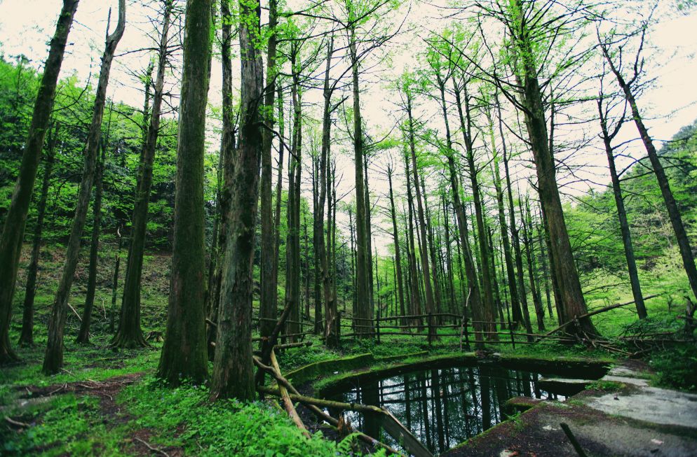 开学之际的一次旅行,咸宁学生游玩地方推荐