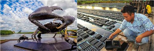 带宝宝说走就走的旅行视频,带孩子说走就走的旅行视频