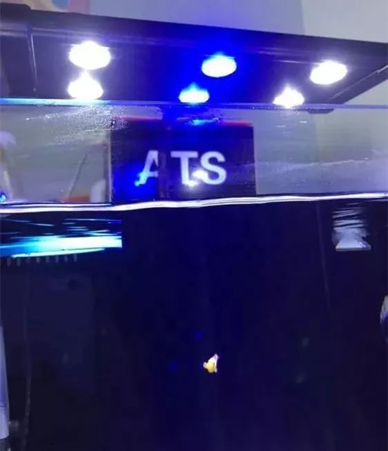 40方缸用背滤,小尺寸背滤