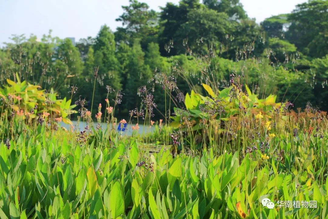 鏂扮煡鏂拌В,鏂扮煡鏂拌