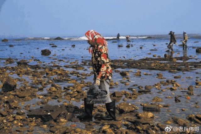 大连开海后的海鲜,开海了吃海鲜去哪个码头最便宜