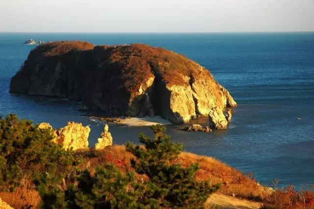 大连开海后的海鲜,开海了吃海鲜去哪个码头最便宜