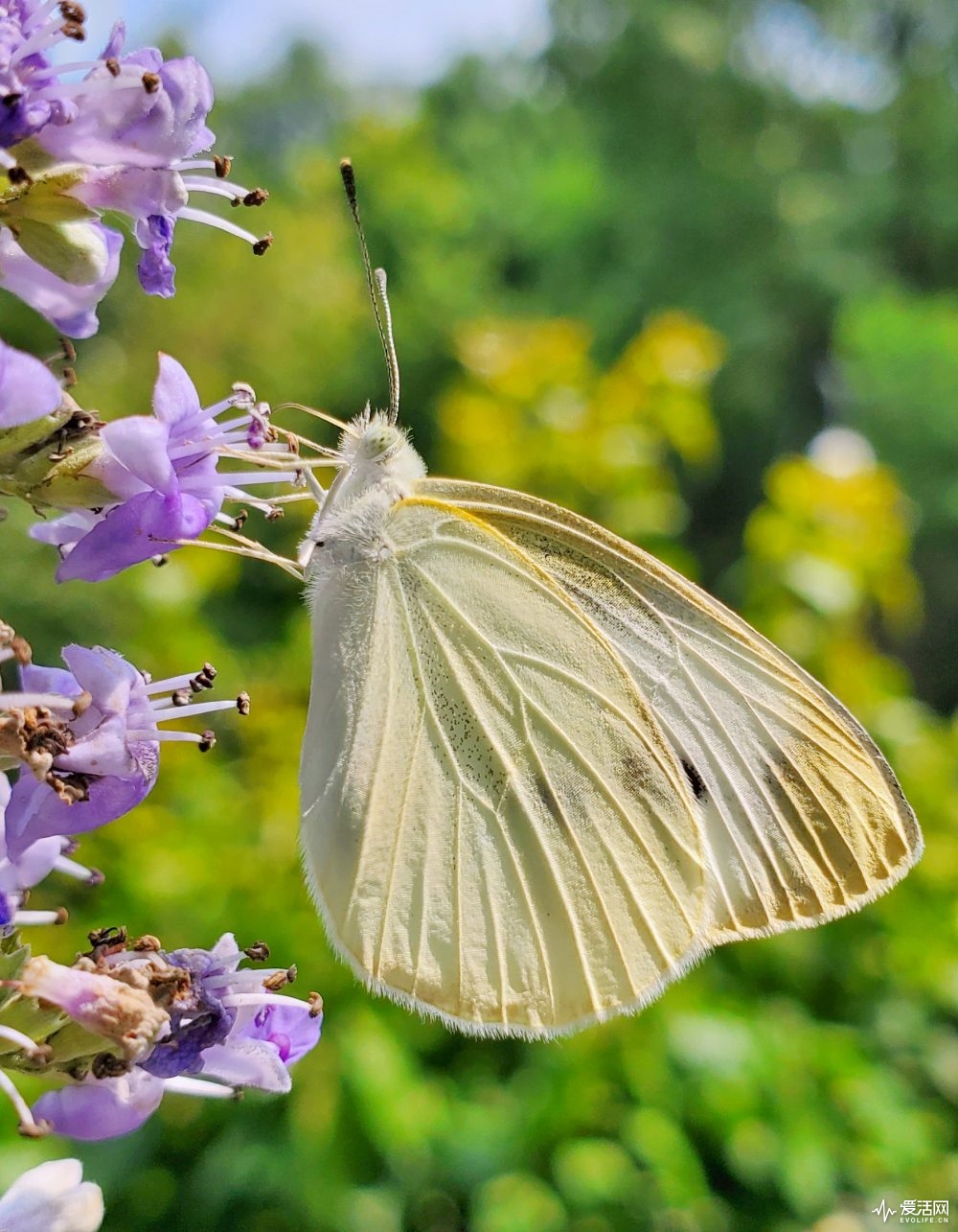 galaxynote10缺点,三星galaxynote10+国际版测评