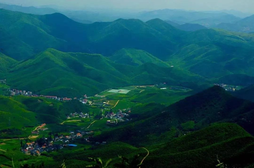 莫干山民宿成功的原因,莫干山民宿是怎么做起来的