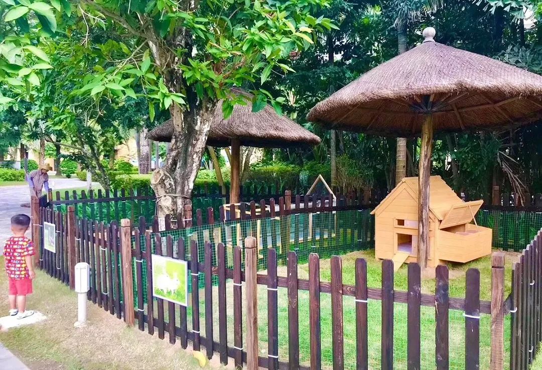 三亚3天2晚亚特兰蒂斯,三亚5天4晚亚特兰蒂斯酒店双人游