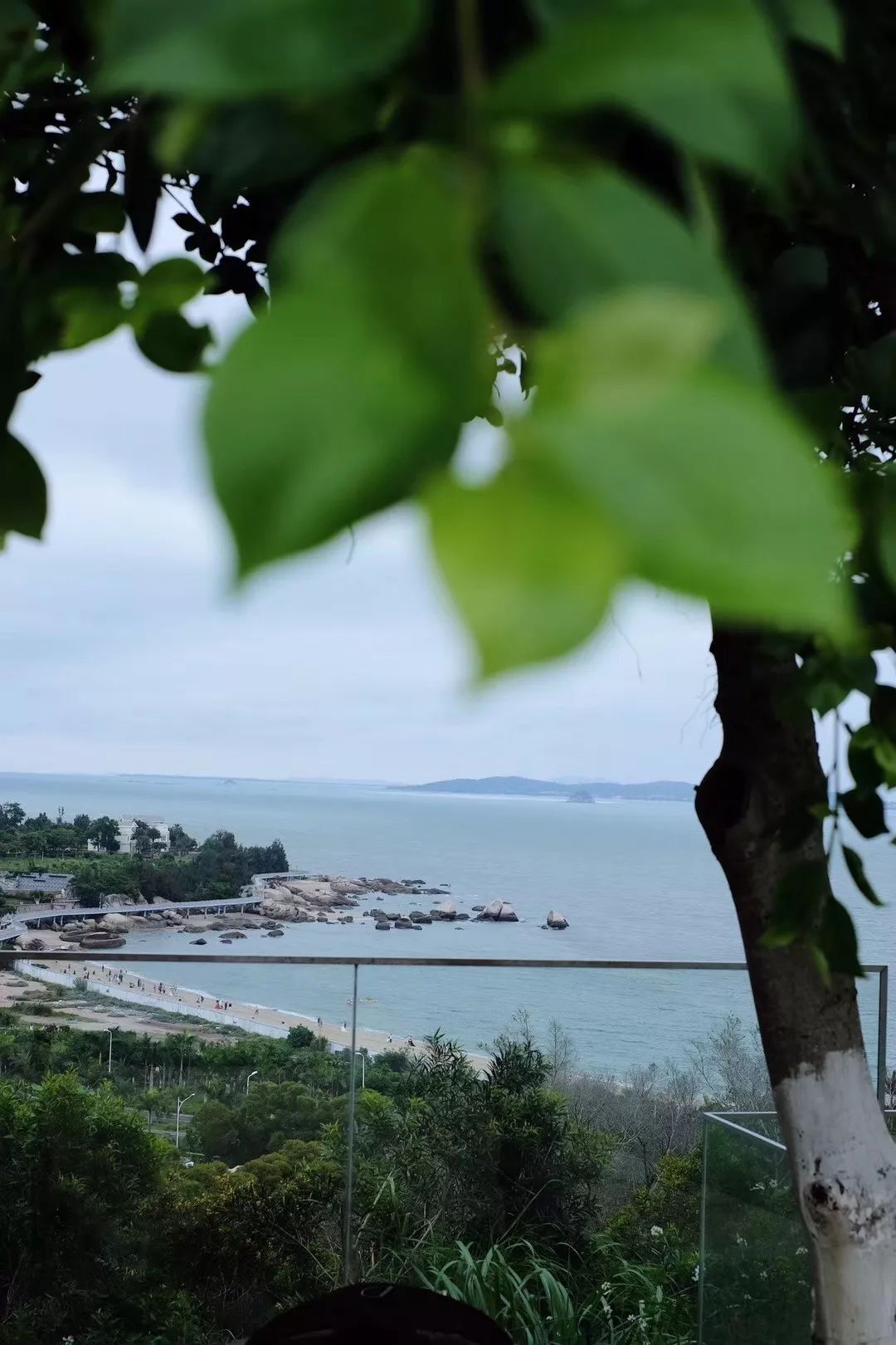 厦门有哪些拍照好看的地方,厦门十大拍照地方