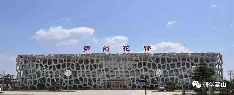 研学泰山,研学行万里探索知天下