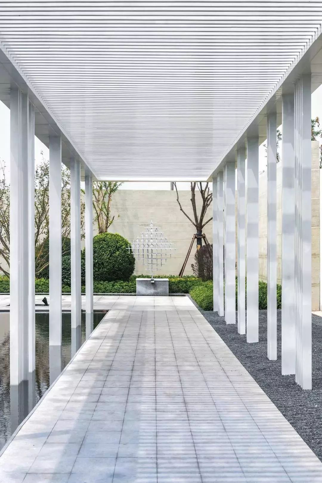 星之所向聆风,星之所向