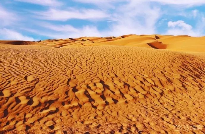 机票特价100元,长春飞往上海的11月特价机票