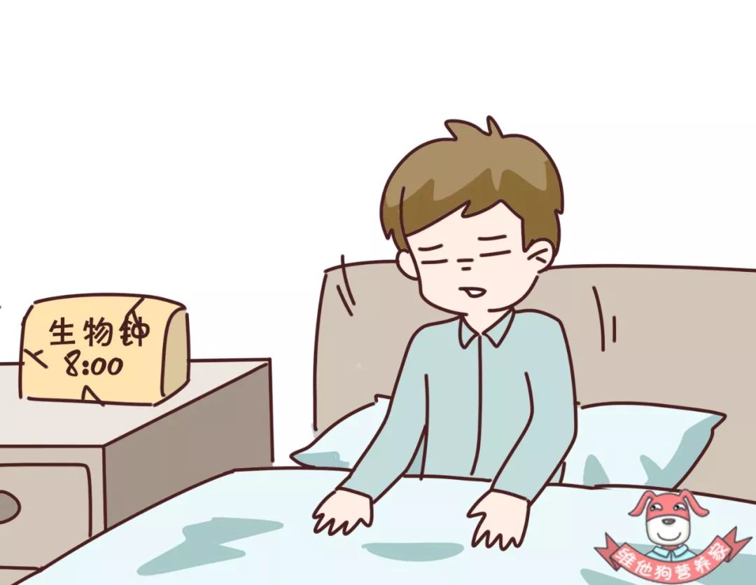 总是熬夜晚睡如何调整自己的作息,如何迅速的把熬夜作息调整回来