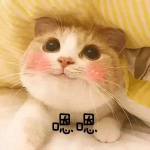 吃喝玩乐云霄,云霄吃喝玩乐一日攻略