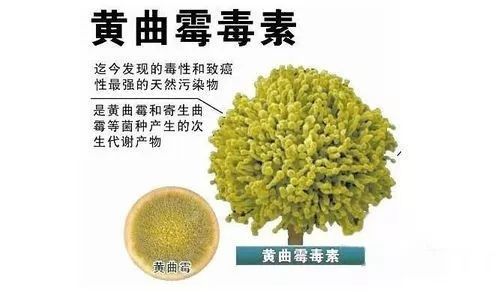 花生油压榨和土榨区别,农村土榨花生油能吃吗