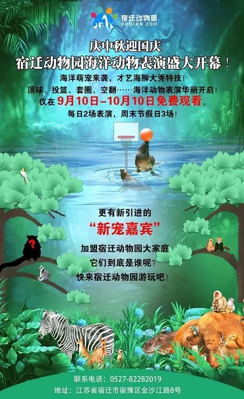 萌萌哒动物大联欢,萌萌哒海狮表演