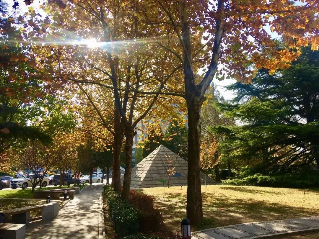 推免读研，圆电影梦｜北京电影学院2020年接收优秀应届本科毕业生免试攻读硕士学位研究生招生专业目录