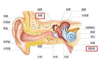 怎么预防孩子先天性耳聋呢,如何预防后天性耳聋