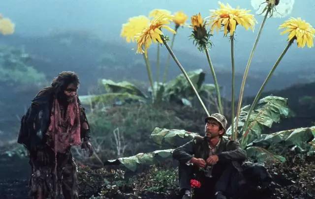 喜欢黑泽明电影的理由,黑泽明的故事