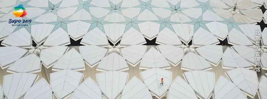 北京世园会2019小萌花,北京世园公园小萌芽