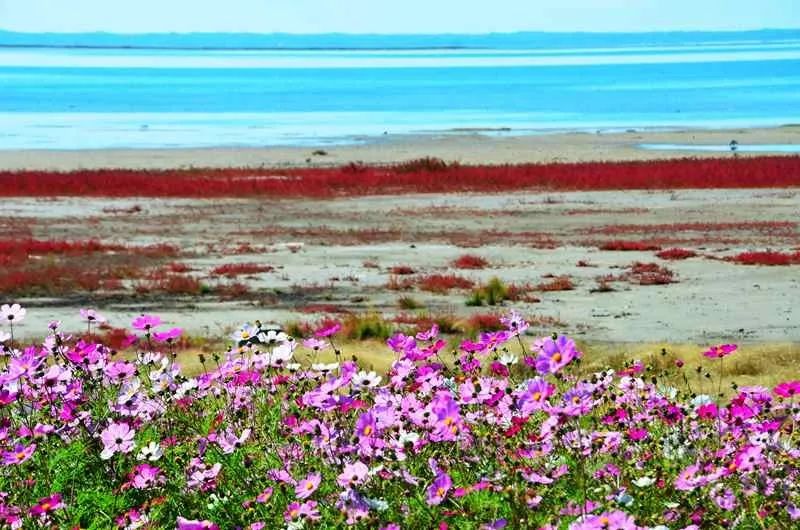 达里湖红海滩在哪里,达里湖冬捕